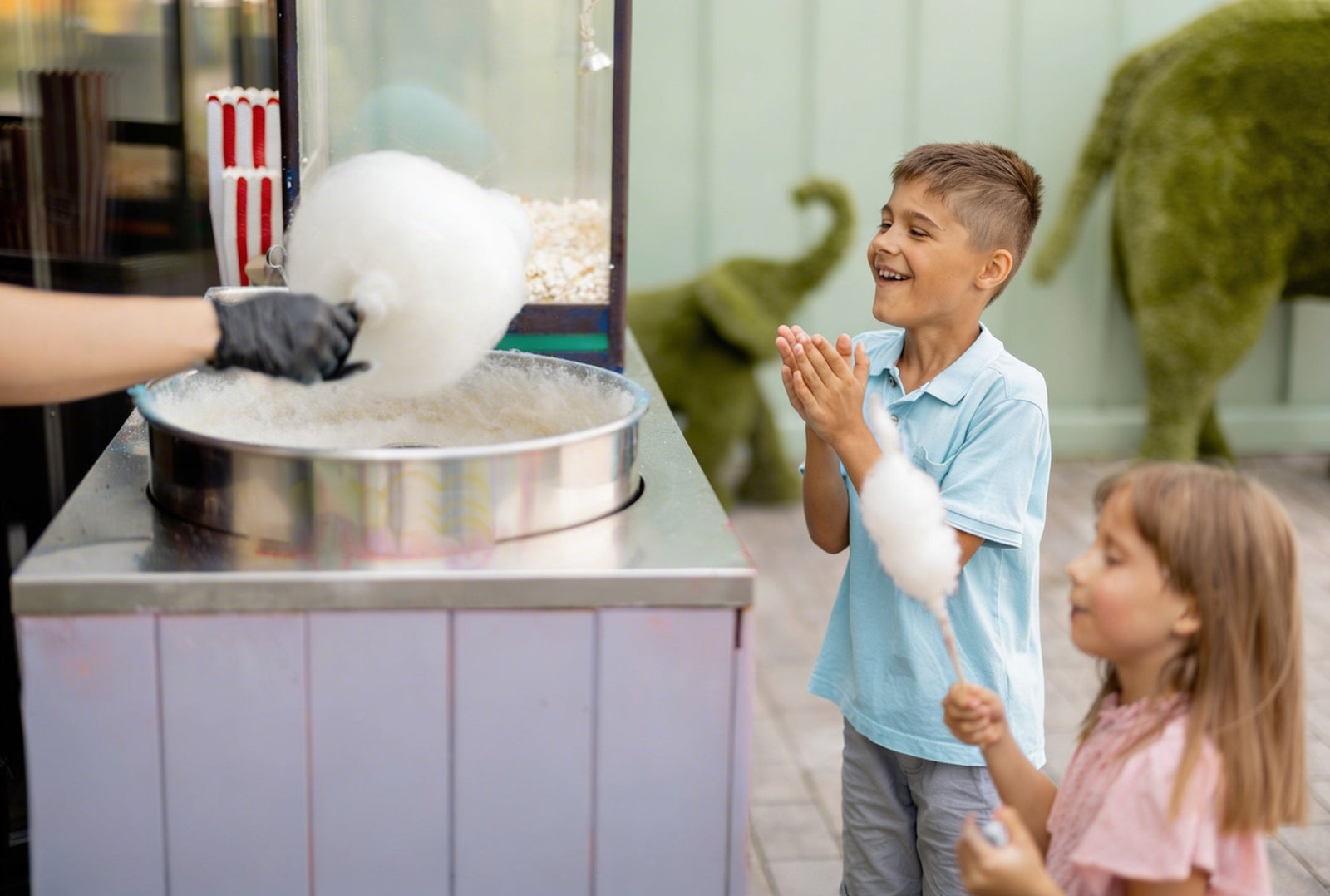 The Art and Science of Gourmet Cotton Candy